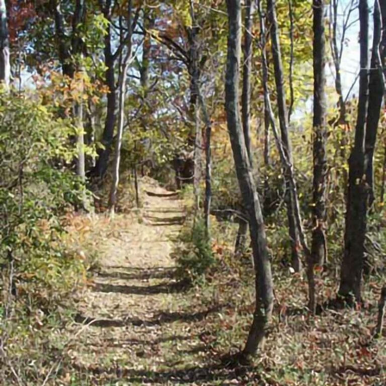 The Delight of His Discipline